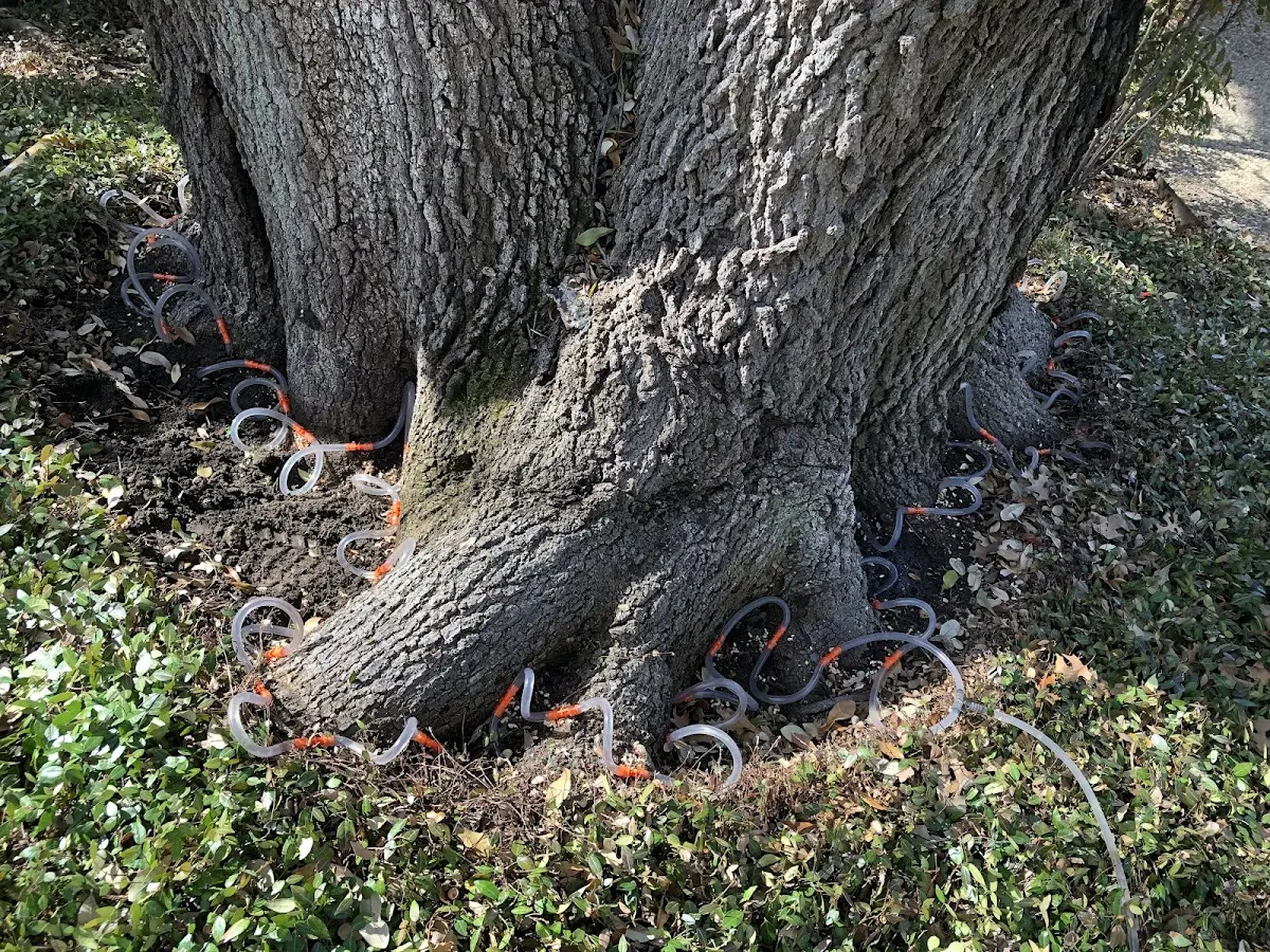 Detailed Shrub and Hedge Trimming job site in May
