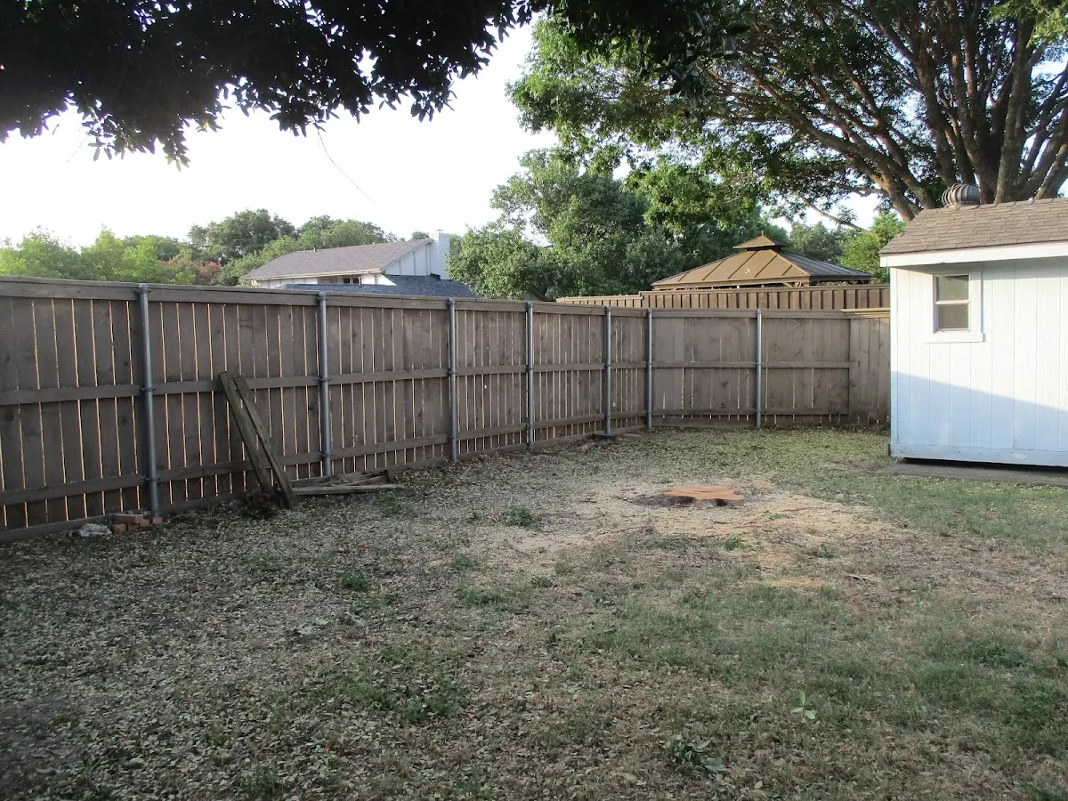Cleared yard after professional tree removal in May