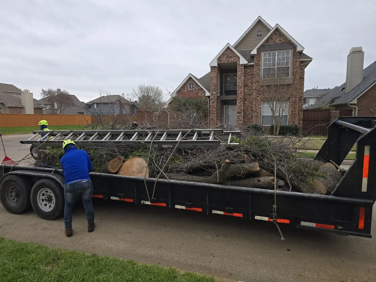 Expert Tree Fertilization with proper safety equipment in May